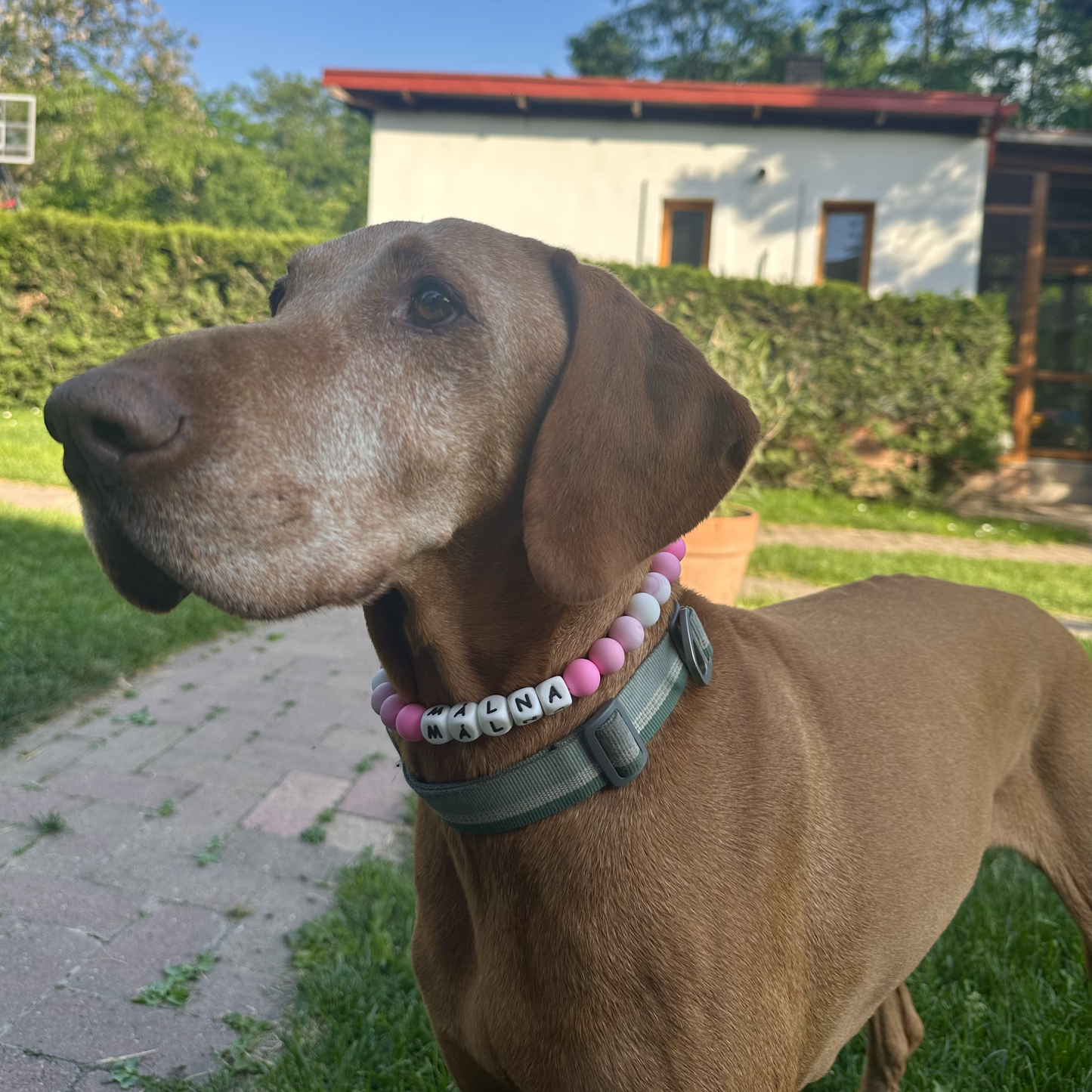 Barbie vibes- rózsaszín névre szóló nyaklánc nyakörv