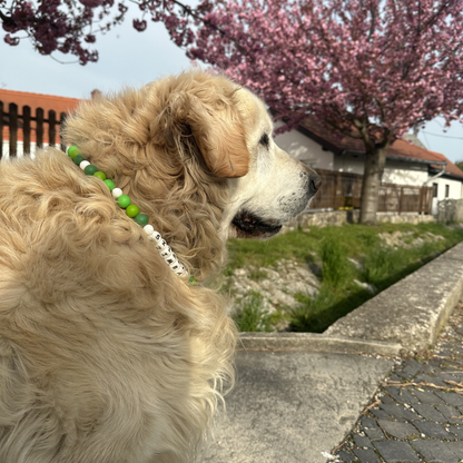 Fiona vibes- zöld névre szóló nyaklánc nyakörv